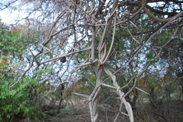 Naturaleza Argentina
