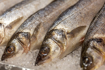 Chilled fish on ice in the store. Close-up.