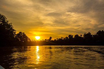 Fototapeta na wymiar Beautiful sunset on the river of the natural park of Sepilok. Malaysia