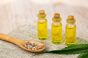  Hemp oil cbd, Cannabis herb and leaves for treatment, Extract from hemp oil.
