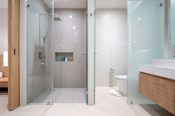 Luxury bathroom features basin, toilet in the house or home building