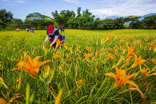 travel in Taiwan