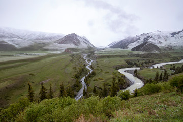 Fototapeta premium River beds flowing through a green valley with mountains covered with snow on the horizon. Travel Kyrgyzstan.