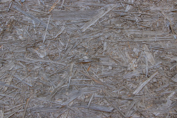 Wood chip rough vintage grunge background texture