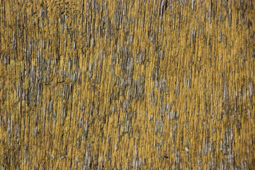 Yellow Vintage worn wood grain texture background surface