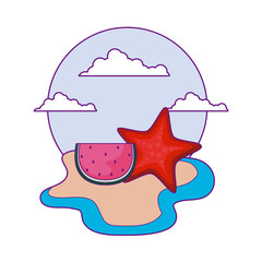 cute starfish with watermelon fruit in the beach