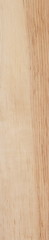 Obraz premium Wood Texture Background