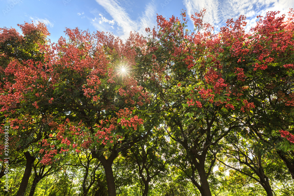 Canvas Prints beauty of Taiwan