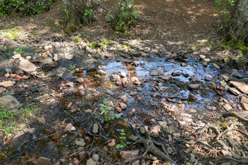 Stream, rocks, nature, outdoor, natural