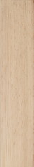 Wood Texture Background