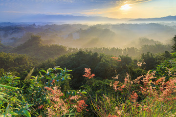 beauty of Taiwan - 278961038