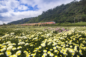 beauty of Taiwan © TPG