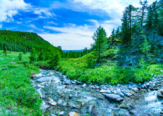 The Altai landscape with mountain river and green rocks, Siberia, Altai Republic, Russia