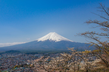 Fototapeta premium Mountain Fuji in spring