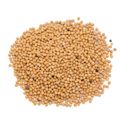 Mustard seeds close up isolated on white background