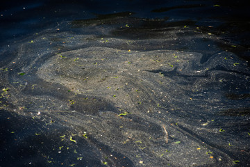 Water surface covered with mud
