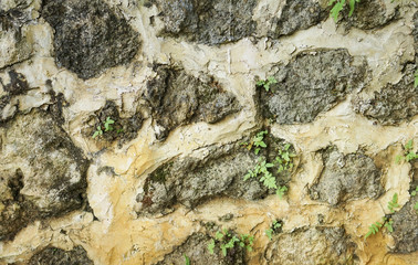 Obraz premium the Rock wall seamless texture