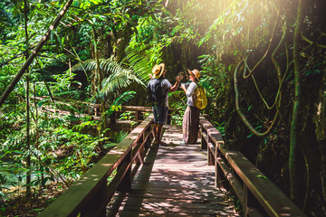 Asian Lover happy travel the mangrove forest. She is walking on a wooden bridge. Nature trail,...
