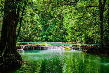 Landscape Waterfall Than Bok Khorani. Colorful forest in the rainy season,Colorful forest in the rainy season, The water falls in the rainy season, Emerald water stream, waterfall in the deep forest.