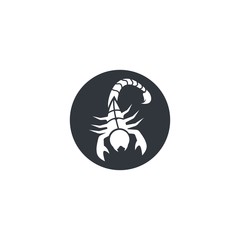 Scorpion logo template vector