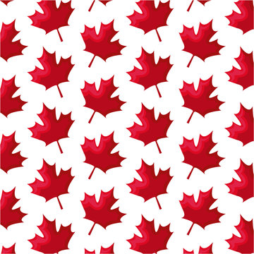 pattern of leafs maple canada