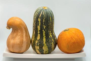 Pumpkins isolated on white background. Vegetables om a white plate. Autumn harvest. 