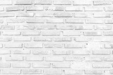 White brick wall texture background