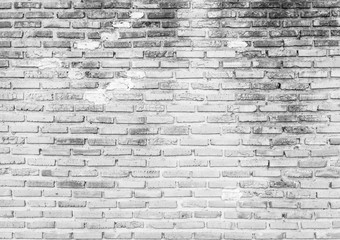 White brick wall texture background