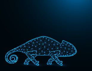 Lizard chameleon low poly model, African animal abstract graphics, reptile polygonal wireframe vector illustration on dark blue background © Vladislav