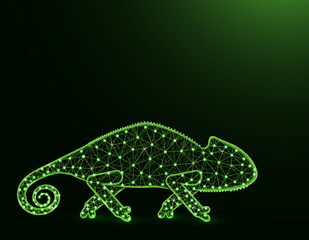 Lizard chameleon low poly model, African animal abstract graphics, reptile polygonal wireframe vector illustration on dark green background