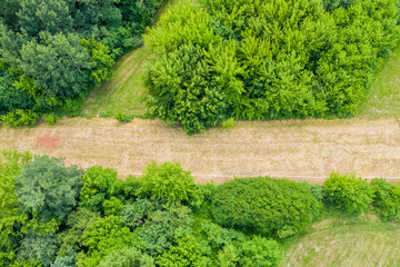 Aerial top view of a country road through a fir forest and a green field in summer