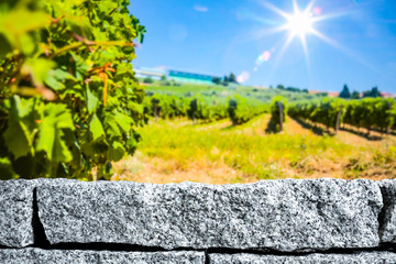 Stones and stone tray background in the beautiful sunny vineyard view and sun rays in distance