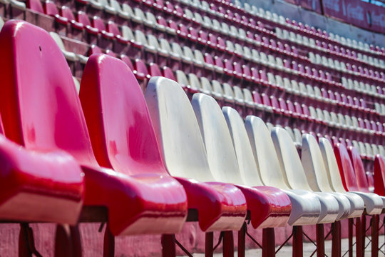 Tribuna