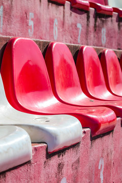 Tribuna