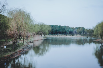 Fototapeta premium scenes of nature and flora from Gucun Park in Shanghai, China