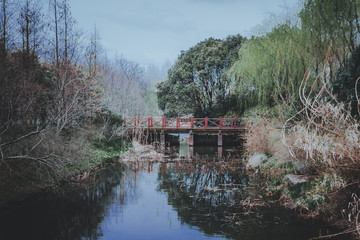 scenes of nature and flora from Gucun Park in Shanghai, China