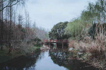 scenes of nature and flora from Gucun Park in Shanghai, China