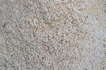 sawdust