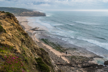 Cliff with flowers next to the Foz do Lizandro beach, aerial view of seascape with mountains on the horizon, Ericeira - Mafra PORTUGAL