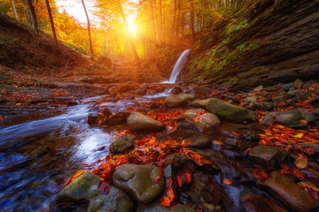 Amazing nature landscape, mountain waterfall in the dark colorful autumn forest, natural outdoor travel background suitable for wallpaper, Carpathian mountains