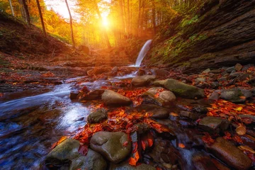 Fotobehang Chocoladebruin Amazing nature landscape, mountain waterfall in the dark colorful autumn forest, natural outdoor travel background suitable for wallpaper, Carpathian mountains  © larauhryn