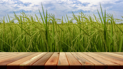 Perspective brown wooden board empty table in front of paddy field in morning time. for product placement or editing your product. Wooden board empty table perspective.
