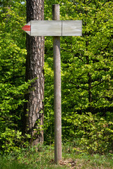 Wooden signpost in the forest
