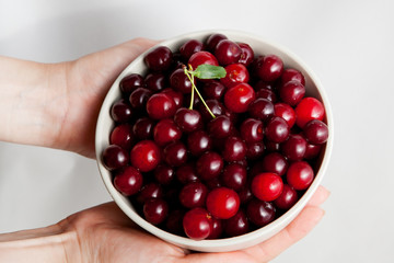 hands holding a white plate filled with red cherries