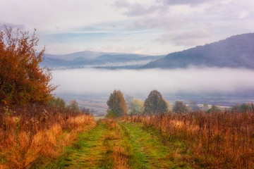 Amazing nature, scenic autumn landscape with misty mountains, colorful autumnal grass and trees and blue sky with clouds, foggy morning in the Carpathians