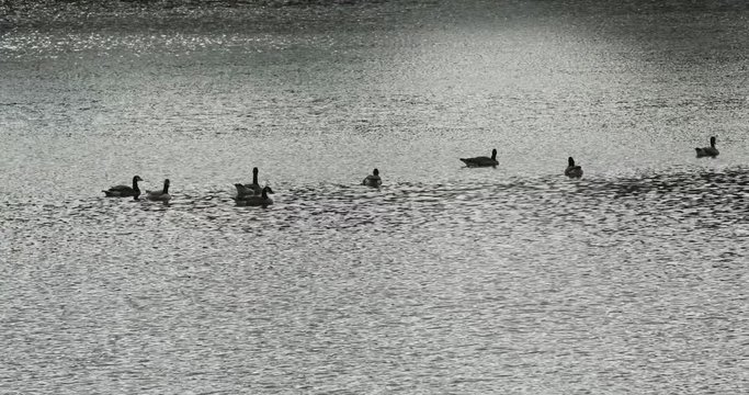 Plan d'eau avec des reflets du coucher de soleil
