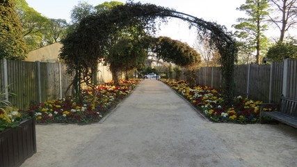 alley in the park