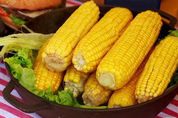 Corn cobs close up