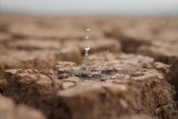 Wandcirkels tuinposter Water drop to dry cracked land metaphor lack of rain, water crisis, Climate change and Environmental disaster © piyaset