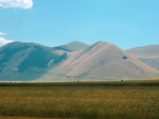 Plains of Castelluccio di Norcia and park of 